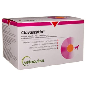 Clavaseptin Clavaseptin Tablets 20粒 50mg 20粒  正面圖