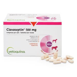 Clavaseptin Clavaseptin Tablets 20粒 500mg 20粒  正面圖