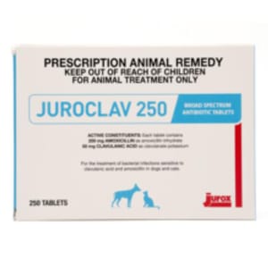 Juroclav Juroclav 250mg 抗生素片 10粒 10粒 正面圖