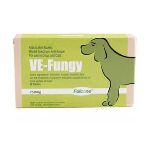 Falcone Falcone Anti- Fungal Tablet 250mg 60粒 60粒 正面圖