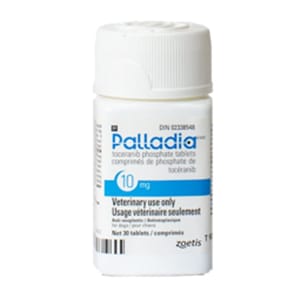 Zoetis Zoetis Palladia Tablets 30s 10mg 藍 正面圖