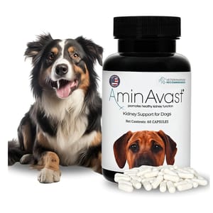 AminAvast AminAvast Kidney Support for Dog 1000mg 60's 正面圖