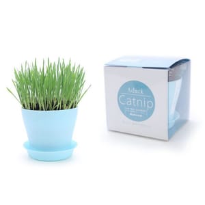 Aduck Aduck 玩具嚴選 Catnip DIY 種植天然吐毛球小麥草套裝 正面圖