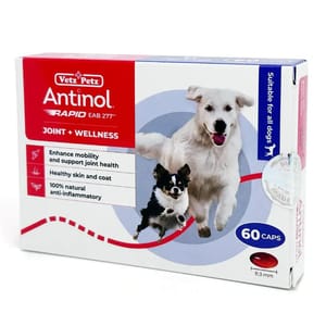 Antinol Antinol Rapid Joint Supplement for Dogs 90粒 90粒 正面圖