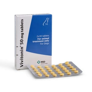 Vivitonin Vivitonin Tablets for Dog 60粒 100mg 60粒 正面圖