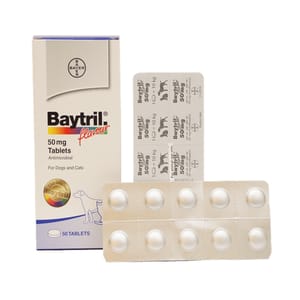 Baytril Baytril Flavour Tablets 15mg 10粒 10粒 正面圖