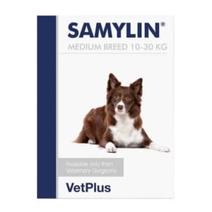 VetPlus VetPlus Samylin Medium Breed 30Tablets   正面圖