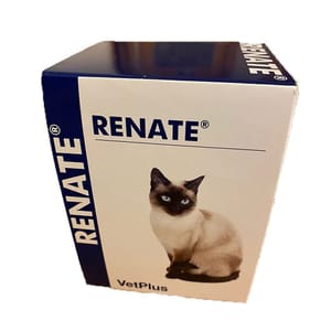 VetPlus VetPlus Renate貓隻腎臟補充粉劑 2gx30包 2g 正面圖