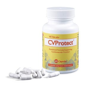 CVProtect CVProtect 60粒 膠囊 60粒  正面圖