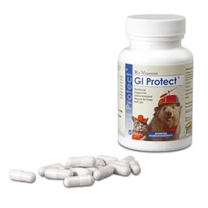固腸 固腸 GI Protect 60粒膠囊 60粒 正面圖
