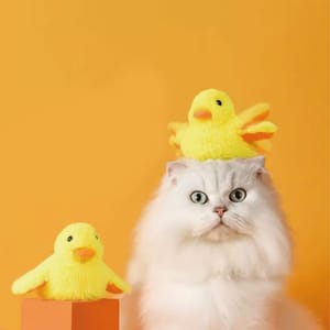 HelloDOG HelloDOG 貓玩具 電動引力小鴨子 1隻 正面圖