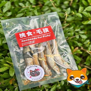 挑食毛孩 挑食毛孩 天然小食 紫菜 南瓜 / 芝士 蟲草花 捲 多春魚 40g 40g 正面圖