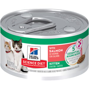 Hills Hills 貓罐頭 幼貓主食罐 三文魚 2.9oz 9oz 正面圖