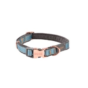 Rogz Rogz UrbanDog 頸帶 S 松石綠 正面圖