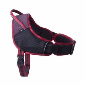 Rogz Rogz Airtech 運動胸帶 XL 紅   正面圖