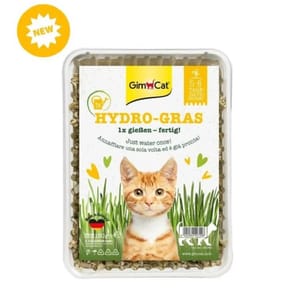 Gim Gim Cat 簡易種植貓草 150g 150g 正面圖