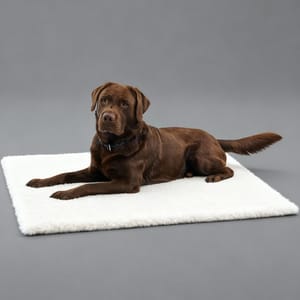 Full Full Creation 人造羊毛床 thermo bed 48cm x 38cm 正面圖