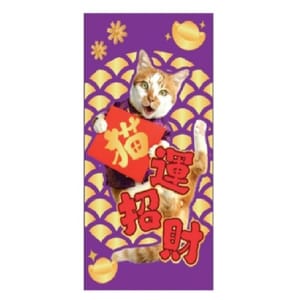 WELLNESS WELLNESS Core 紅包   正面圖