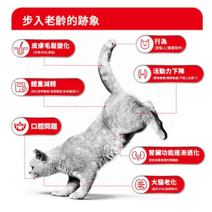 Royal Canin Royal Canin 貓糧 法國皇家貓糧 FHN 老齡貓11+ 營養配方 2kg 2kg  正面圖
