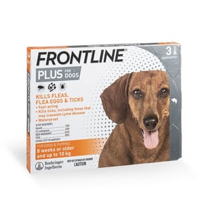 FRONTLINE FRONTLINE Plus for Dogs 狗用殺蝨滴 狗用 正面圖