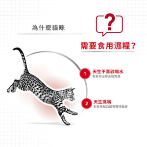 Royal Canin Royal Canin 法國皇家 貓濕糧 成貓理想體態營養主食濕糧  85g 85g  背面圖