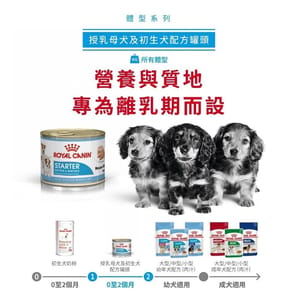 Royal Canin Royal Canin 法國皇家 狗濕糧 健康營養系列 初生犬及母犬營養主食罐頭 初生BB慕絲 195g 195g 正面圖