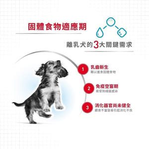 Royal Canin Royal Canin 法國皇家 狗濕糧 健康營養系列 初生犬及母犬營養主食罐頭 初生BB慕絲 195g 195g 背面圖