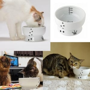 日本猫壱 日本猫壱 necoichi ペット 陶瓷闊圓寵物水碗   DC-0704-SC02  貓犬用 正面圖