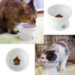 日本猫壱 日本猫壱 necoichi ペット 陶瓷高腳寵物糧食碗   DC-0703-SC01  貓犬用 正面圖