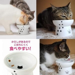日本猫壱 日本猫壱 necoichi ペット 陶瓷高腳寵物糧食碗 中碼   DC-0703-SC02  貓犬用 正面圖