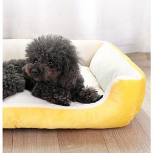 寵物床 寵物床 防滑厚身 M碼 70 貓犬用 正面圖