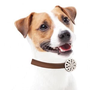DoggyMan DoggyMan 日本狗用品 150日長效 天然成分驅蚊驅蟲安泉香 1個裝  狗用 背面圖