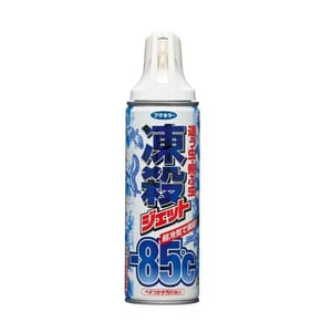 日本-85度瞬間凍殺殺蟲劑 日本-85度瞬間凍殺殺蟲劑 寵物安全 300ml 300ml 正面圖