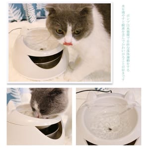 USB寵物飲水機 USB寵物飲水機 智能循環噴泉飲水器 耳朵形   正面圖