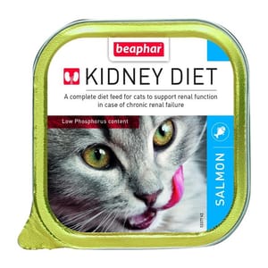 BEAPHAR BEAPHAR KIDNEY DIET 貓罐頭 腎臟保健配方 三文魚 100g 100g 正面圖