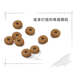 Royal Canin Royal Canin 狗糧 法國皇家狗糧 健康營養系列 中型老犬10+營養配方 中型老犬糧 10+ 3kg 3kg  特寫圖