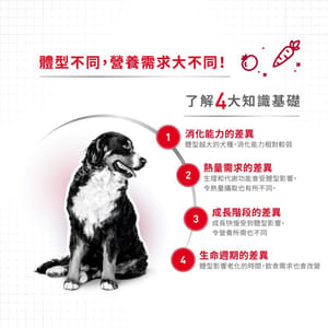 Royal Canin Royal Canin 法國皇家 狗濕糧 中型成犬營養主食濕糧 140g 140g 背面圖