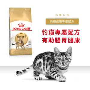 Royal Canin Royal Canin 貓糧 法國皇家貓糧 純種系列 豹貓成貓專屬配方 BEN40 10kg 10kg  正面圖