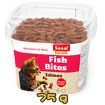 荷蘭Sanal 荷蘭Sanal 亮毛潔齒粒 75g 75g  正面圖