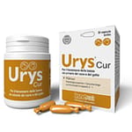 INNOVET INNOVET Urys-Cur 泌尿配方 30粒 30粒  正面圖