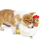 DogLemi DogLemi 狗狗磨牙訓練玩具 生蛋母雞 一個   正面圖