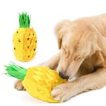 DogLemi DogLemi 狗狗磨牙訓練玩具 金菠蘿 一個   正面圖