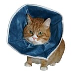 Buster Buster 即棄型頭罩 Disposable Soft Collars   正面圖