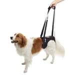 KRUUSE KRUUSE 犬用輔助步行掛帶 後腿 LRehab Lifting Harness for Hind Legs  犬用 正面圖