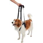 KRUUSE KRUUSE 犬用輔助步行掛帶 前腿 Rehab Lifting Harness for Front Legs S  犬用 正面圖