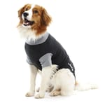 Buster Buster 康復用具 M   正面圖