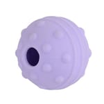 Buster Buster Flex Range Ball 彈力球 紫色   正面圖