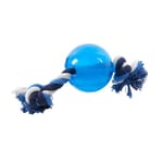Buster Buster 強力球連繩 Strong Ball w/rope, Ice blue 加小號   正面圖