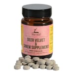 dear dear deer 貓狗零食 保健系列 鹿茸鹿筋活力保健素 100粒裝 100粒  正面圖
