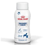 Royal Canin Royal Canin 法國皇家 獸醫處方 貓犬用營養液體食品 腸胃道系列 ICU重症營養處方營養液 200ml x 3支 200ml 貓犬用 正面圖